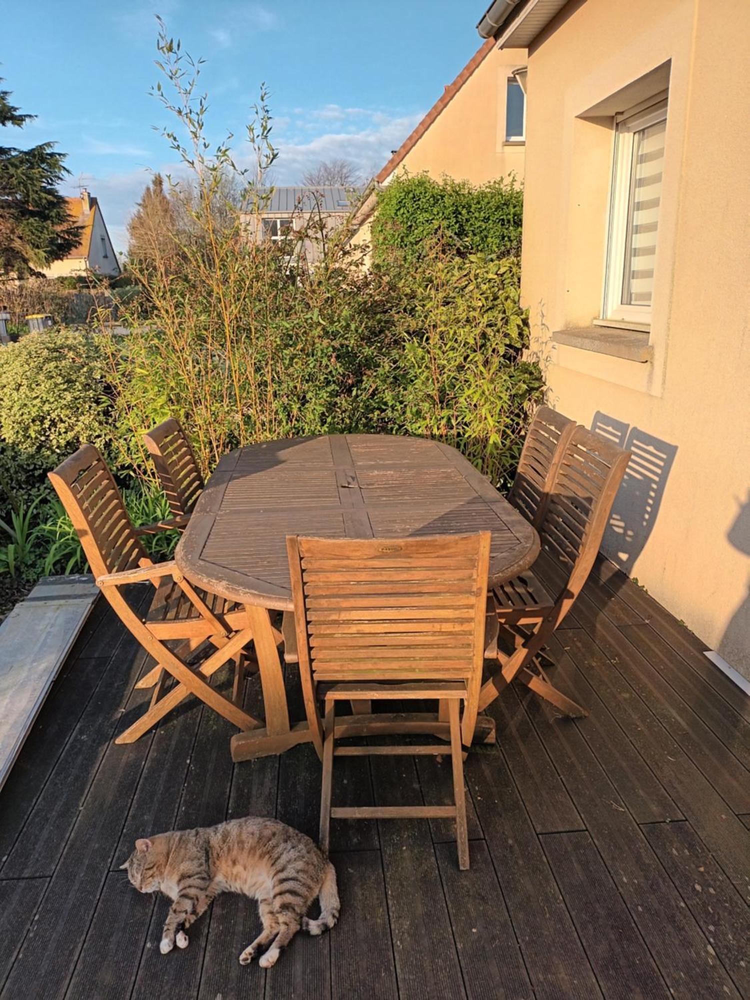Appartement Tout Confort Le Fresne-Camilly 外观 照片
